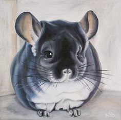 236x235 Pro Chinchillas Paint Chinchilla - Chinchilla Painting