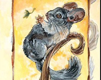 340x270 Chinchilla Art - Chinchilla Painting