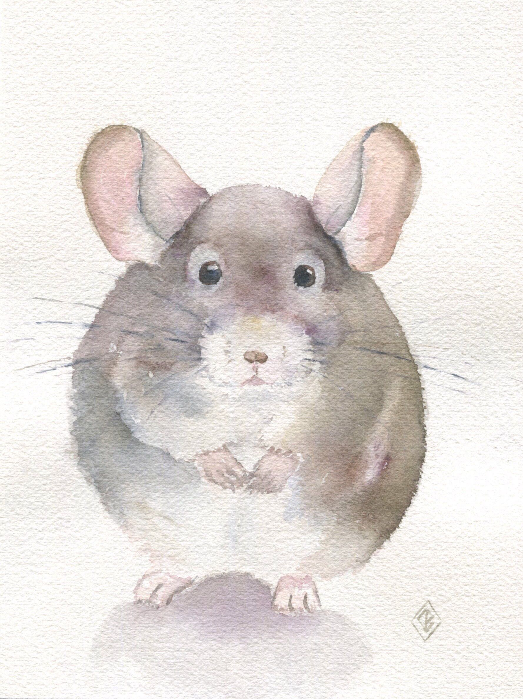 1778x2375 Chinchilla - Chinchilla Painting