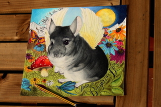 320x214 Chinchilla Community Forums - Chinchilla Painting