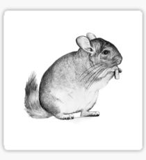 210x230 Chinchilla Painting Amp Mixed Media Stickers Redbubble - Chinchilla Painting