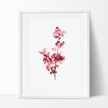 354x354 Shop Cherry Blossom Tree Painting On Wanelo - Chinese Blossom Painting