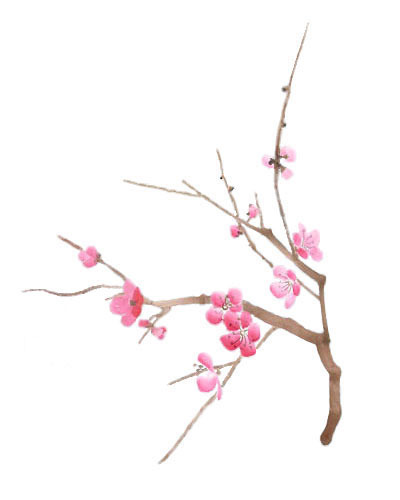 400x500 Cherry Blossoms 2 From Mckenzie Designs - Chinese Blossom Painting