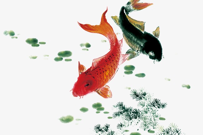 650x433 Ink Fish Painting Works Of Traditional Culture Goldfish Painting - Chinese Goldfish Painting