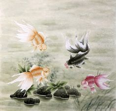 Chinese Goldfish Painting at PaintingValley.com | Explore collection of ...