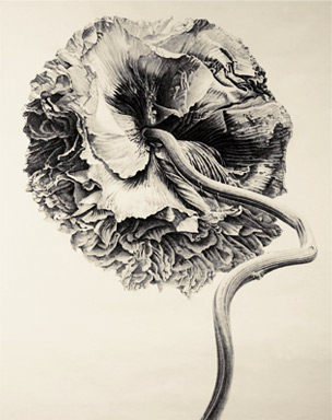 304x384 British Museum - Chinese Ink Painting