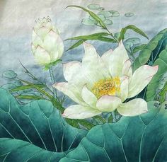 236x229 Chinese Lotus Painting. My Favorite Flowers Lotus - Chinese Lotus Painting