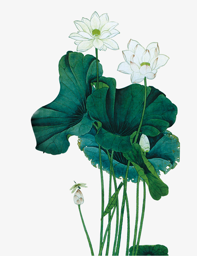 650x843 Lotus Chinese Painting, Color Chinese Painting, Lotus, Vector Png - Chinese Lotus Painting