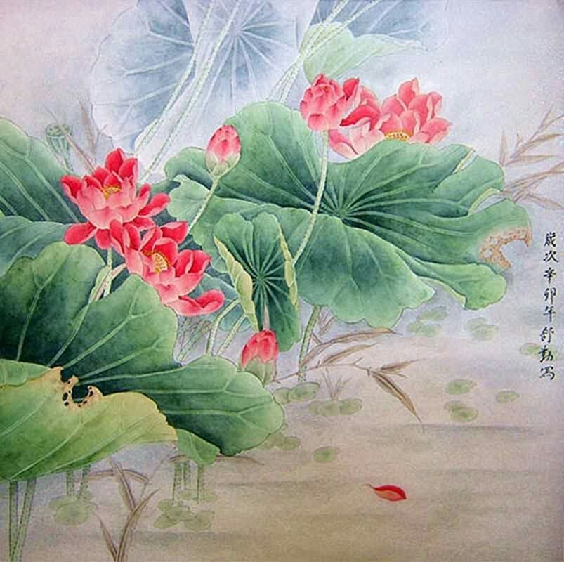 803x800 Pin By Sucheta On My Collection Lotus, Chinese - Chinese Lotus Painting