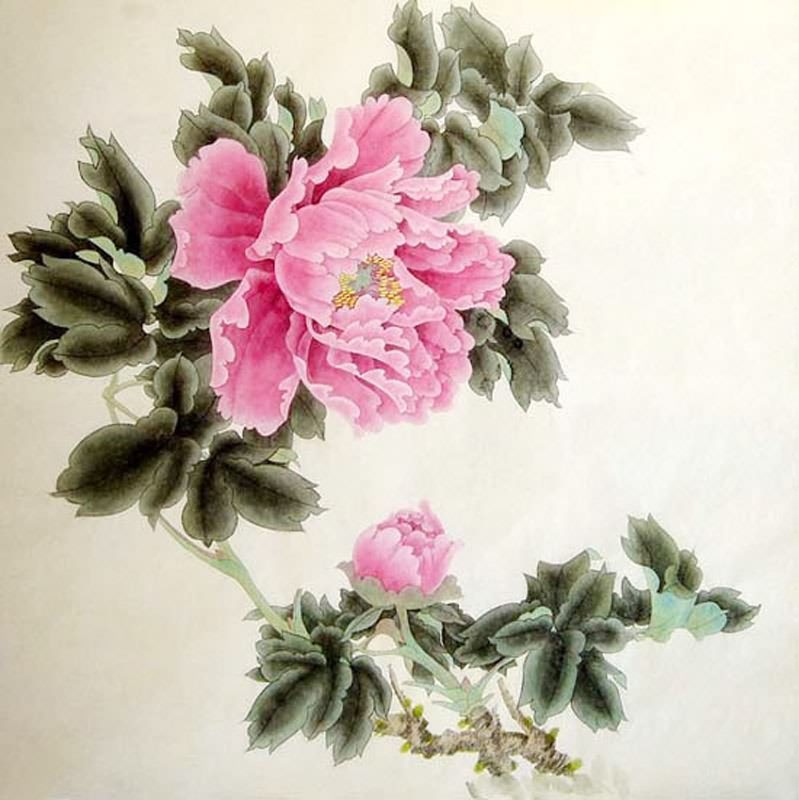 799x800 Page 14 Chinese Peony Paintings, China Peony Art Scrolls, Pictures - Chinese Peony Painting