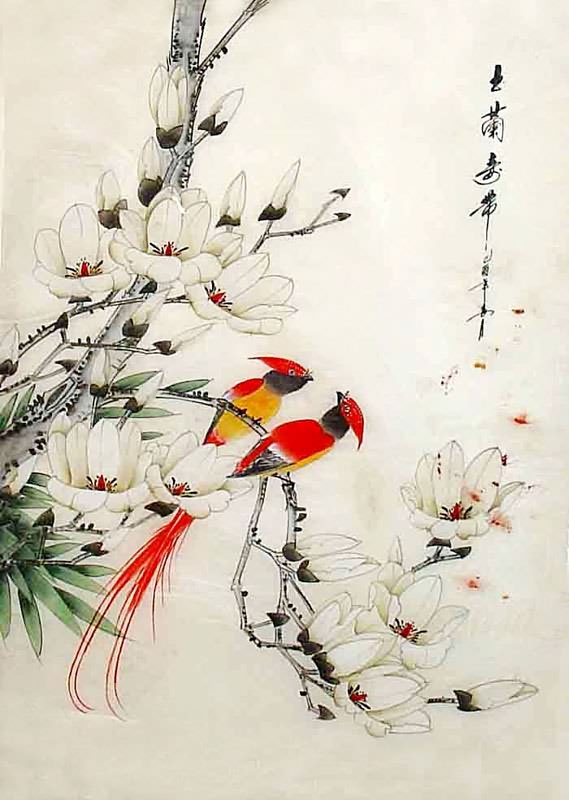 569x800 Chinese Magnolia Painting Magnolia 2336037, 55cm X X - Chinese Silk Art Painting