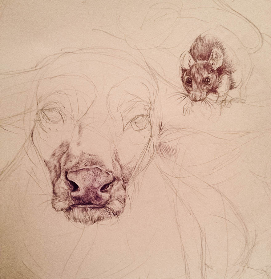 880x906 19 Year Old Artist Spent Her Summer Drawing This Epic Chinese - Chinese Zodiac Painting