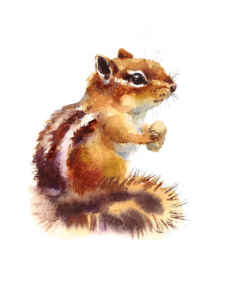 723x900 Chipmunk Painting By Maria Stezhko - Chipmunk Painting