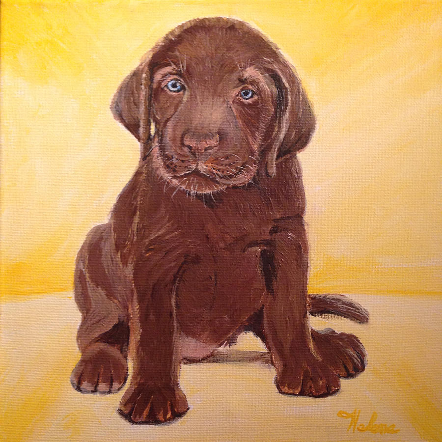 900x900 Chocolate Lab Puppy Painting By Helene Thomason - Chocolate Lab Painting