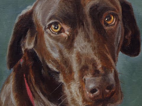 480x360 Dog Portrait, Oil Painting Of Brown Labrador Cody Time Lapse - Chocolate Lab Painting