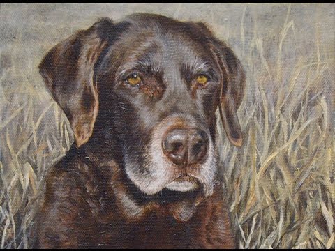 480x360 Dog Portrait, Oil Painting Of Brown Labrador Hunting, Time Lapse - Chocolate Lab Painting