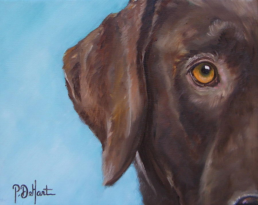 900x714 Golden Eye Painting By Patricia Dehart - Chocolate Lab Painting