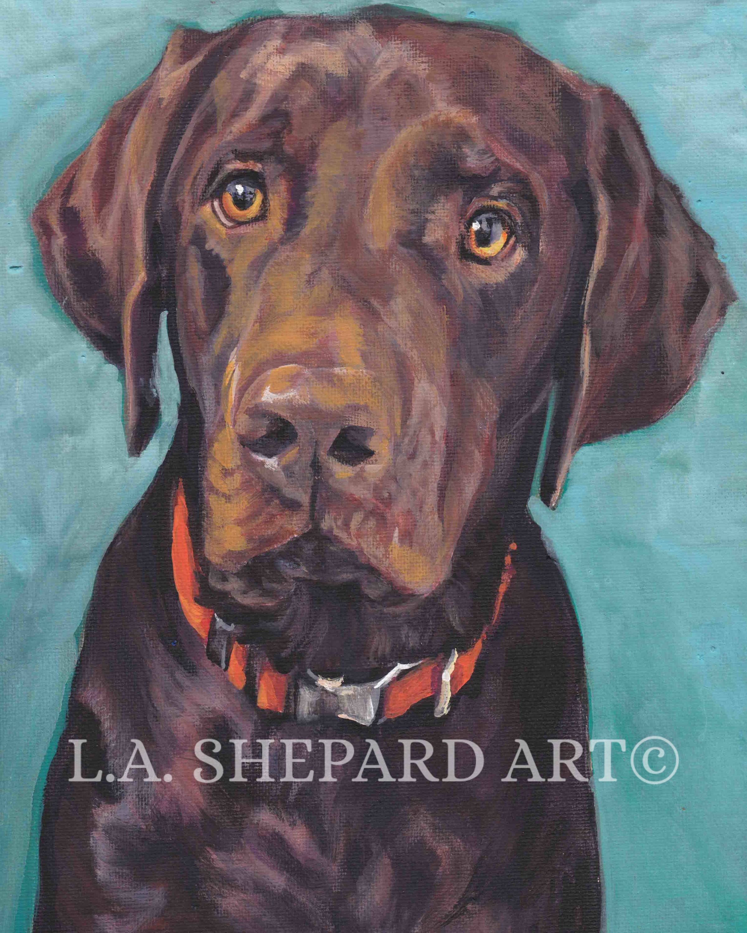 2400x3000 Labrador Retriever Dog Portrait Art Canvas Print Of Lashepard - Chocolate Lab Painting