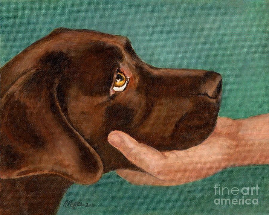 900x719 Chocolate Lab Head In Hand Painting By Amy Reges - Chocolate Lab Painting