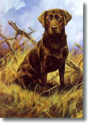 302x417 Chocolate Lab Painting Hunting Smbapps.co - Chocolate Lab Painting