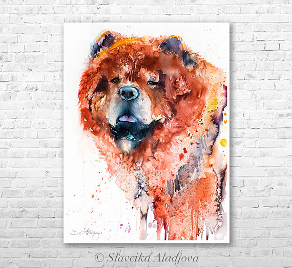 570x524 Chow Chow Watercolor Painting Print By Slaveika Aladjova - Chow Chow Painting