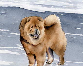 340x270 Chow Chow Art Etsy - Chow Chow Painting