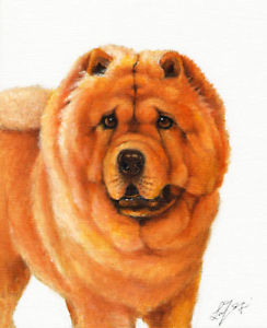 244x300 Original Oil Dog Portrait Painting Chow Chow Artwork Art Ebay - Chow Chow Painting