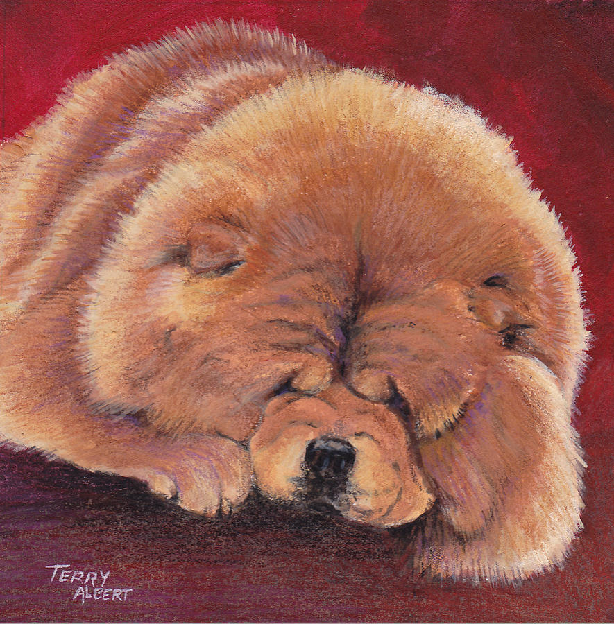 885x900 Red Chow Painting By Terry Albert - Chow Chow Painting