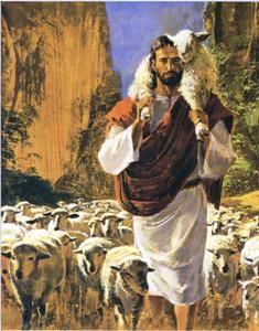 235x300 Jesus Lamb Over Shoulder The Good Shepherd Biblical Truth - Christ As The Good Shepherd Painting