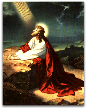 337x420 Horrified! And In Mark 1433 Hcsb - Christ In The Garden Of Gethsemane Painting