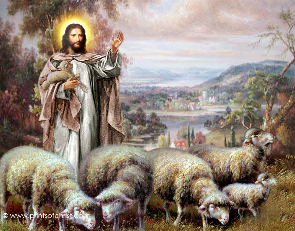 1000x786 I Am The Good Shepherd A Christian Pilgrimage - Christ The Good Shepherd Painting