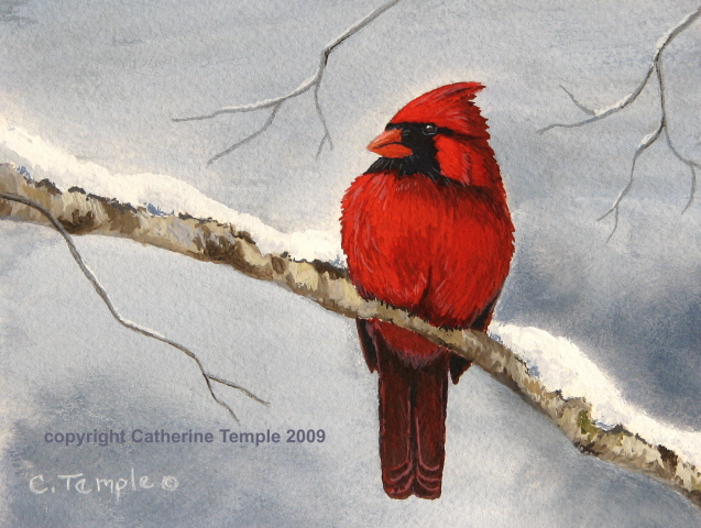 637x480 Merry Christmas! Snow Bird. - Christmas Bird Painting