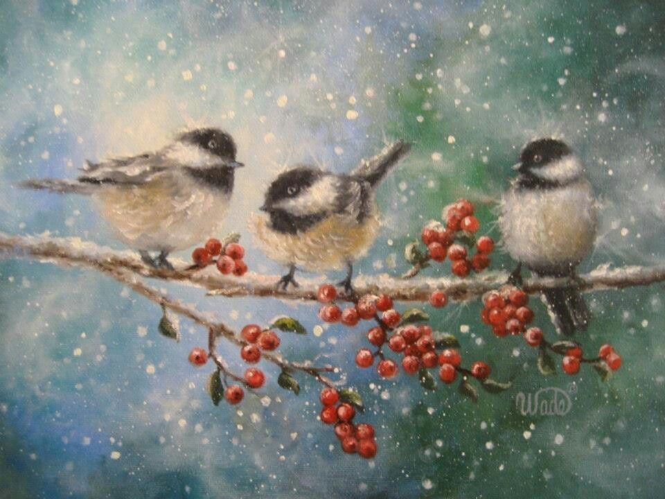 960x720 Vickie Wade Art {Floral Amp Nature} Christmas Bird - Christmas Bird Painting