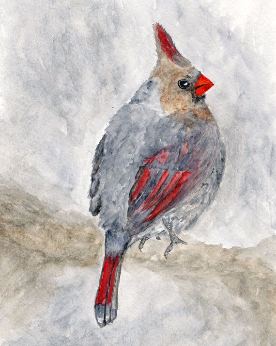 570x713 Watercolor Cardinal Painting, Christmas Bird Art, Bird Print - Christmas Bird Painting