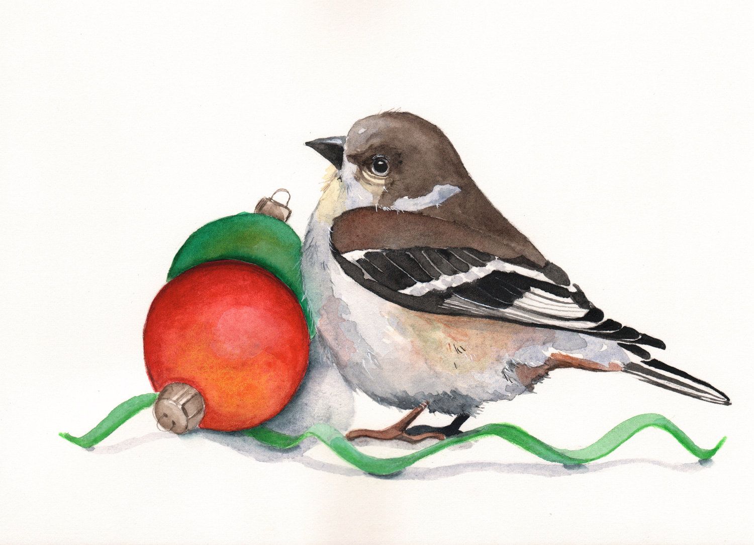 1500x1084 Christmas Watercolor - Christmas Bird Painting