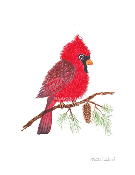 570x737 Cardinal Bird Art Print. Red Bird Painting. Winter Bird - Christmas Bird Painting