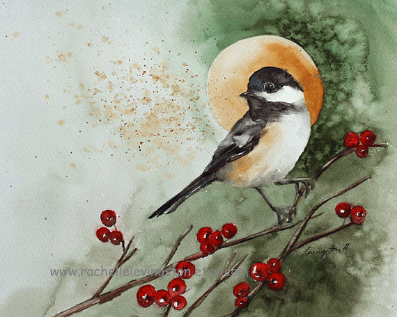570x456 Chickaee Bird Art Print Bird Watercolor Bird Painting Christmas - Christmas Bird Painting