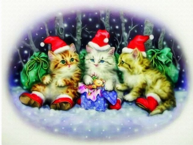 640x480 5d Diy Diamond Painting Cartoon Wall Decor Diamond Painting - Christmas Cat Painting
