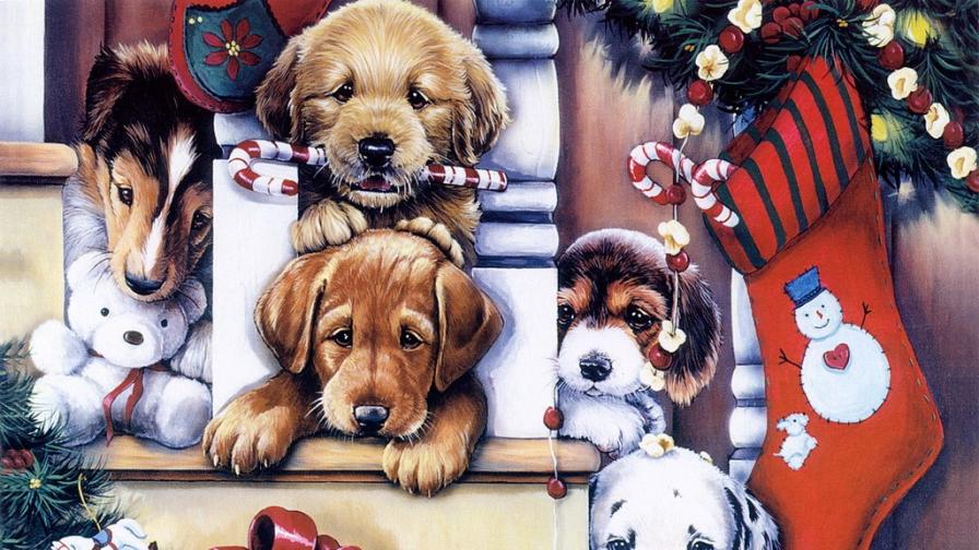 896x504 Christmas Dogs Painting - Christmas Dog Painting