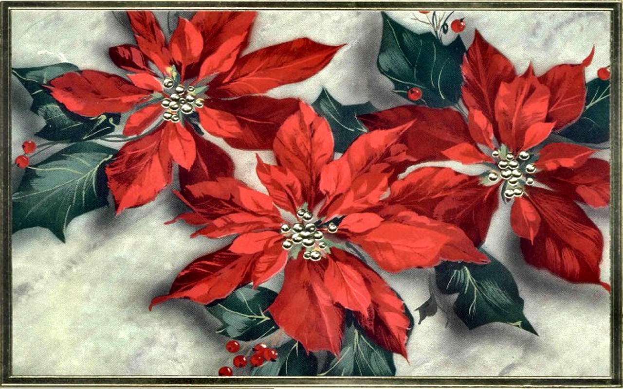 Christmas Flower Painting at Explore collection of Christmas Flower Painting