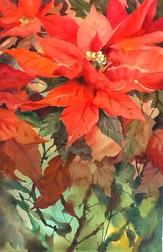 236x364 Jeanne Hyland Watercolor Artwatercolor Poinsettia - Christmas Flower Painting