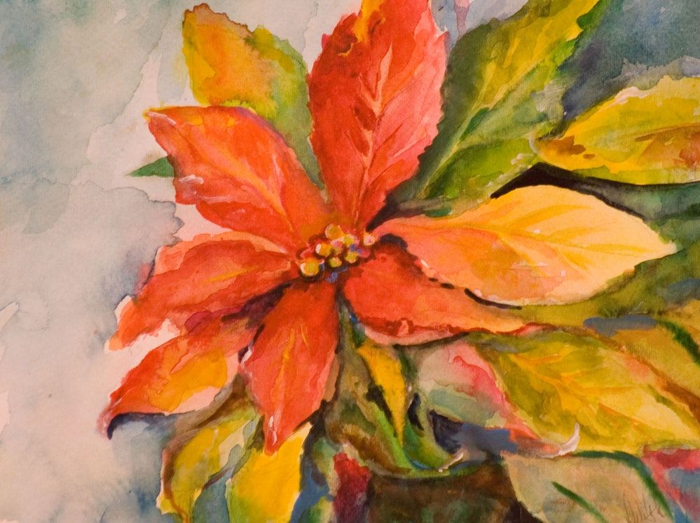 999x746 Poinsettia, Christmas Flower Original Art Painting By Delilah - Christmas Flower Painting