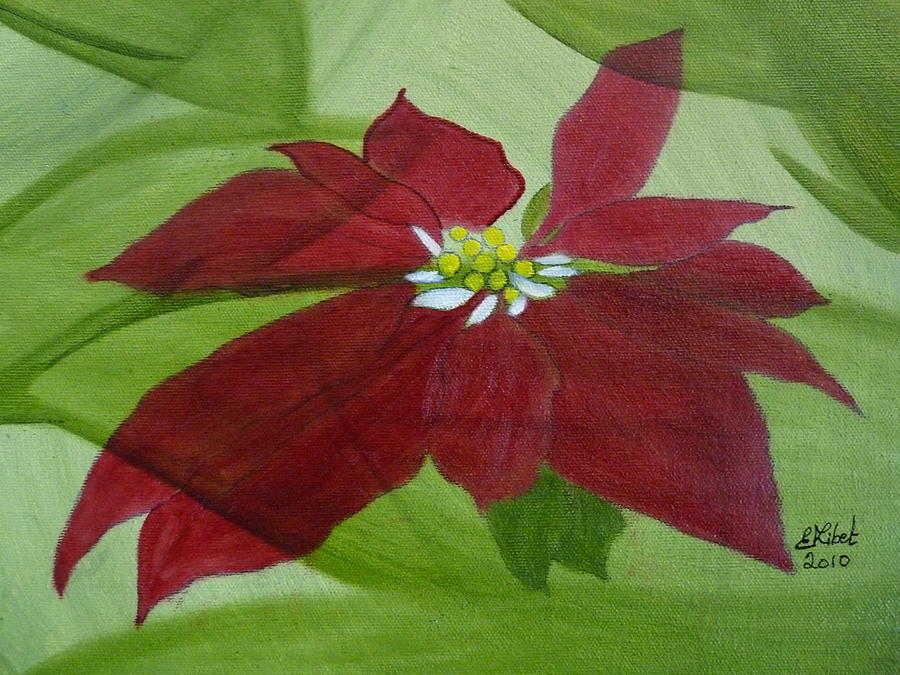900x675 Poinssettia Christmas Flower Painting By Elizabeth Ribet - Christmas Flower Painting