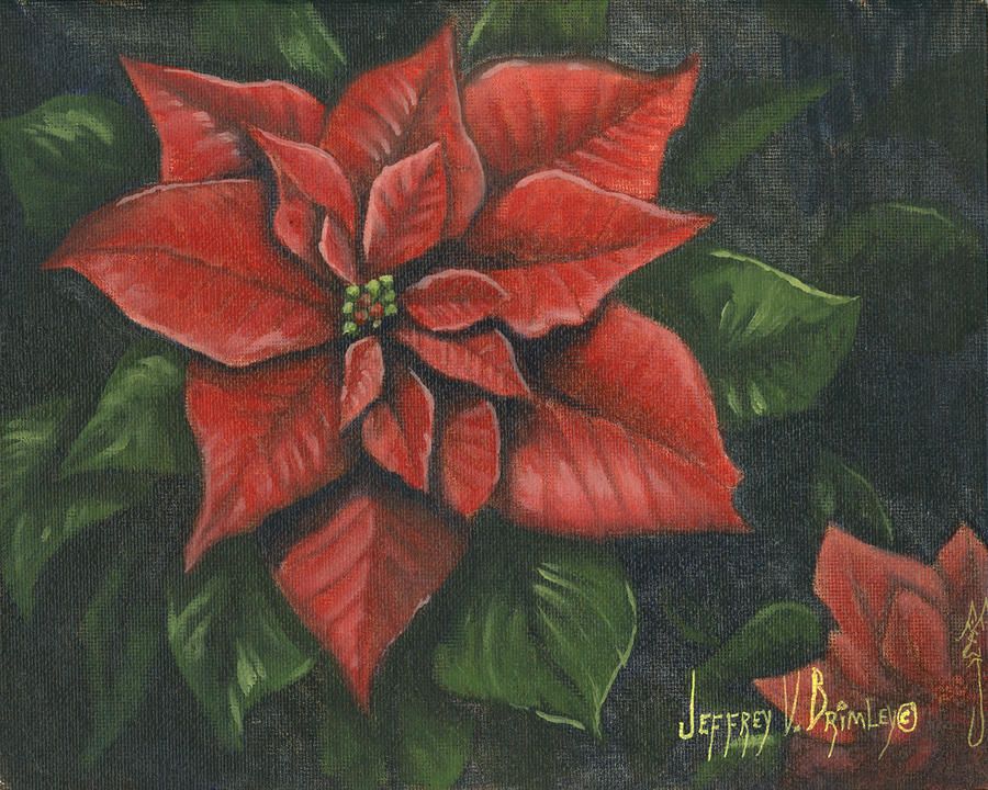 900x720 The Christmas Flower Painting - Christmas Flower Painting