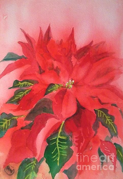 483x700 Poinsettia Painting - Christmas Poinsettia Painting