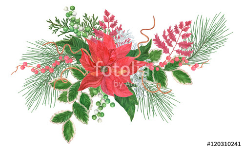 500x306 Watercolor Painting Red Poinsettia Flower Arrangement. Hand Drawn - Christmas Poinsettia Painting
