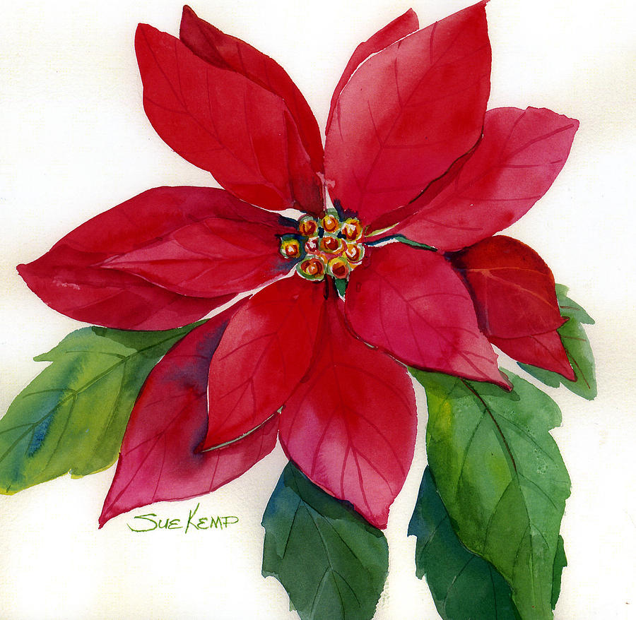 900x878 Christmas Poinsettia Painting By Sue Kemp - Christmas Poinsettia Painting