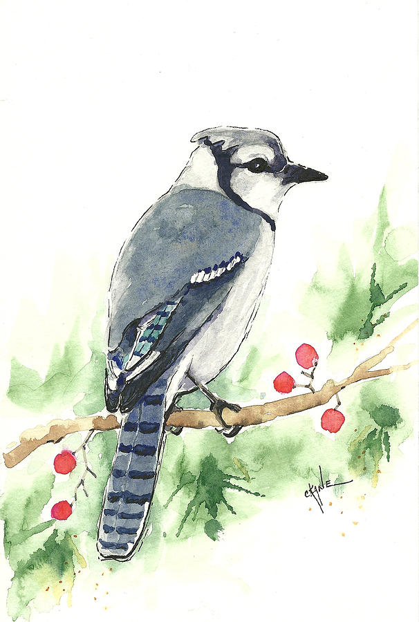 606x900 Christmas Blue Jay Painting By Christine Camp - Christmas Watercolor Painting