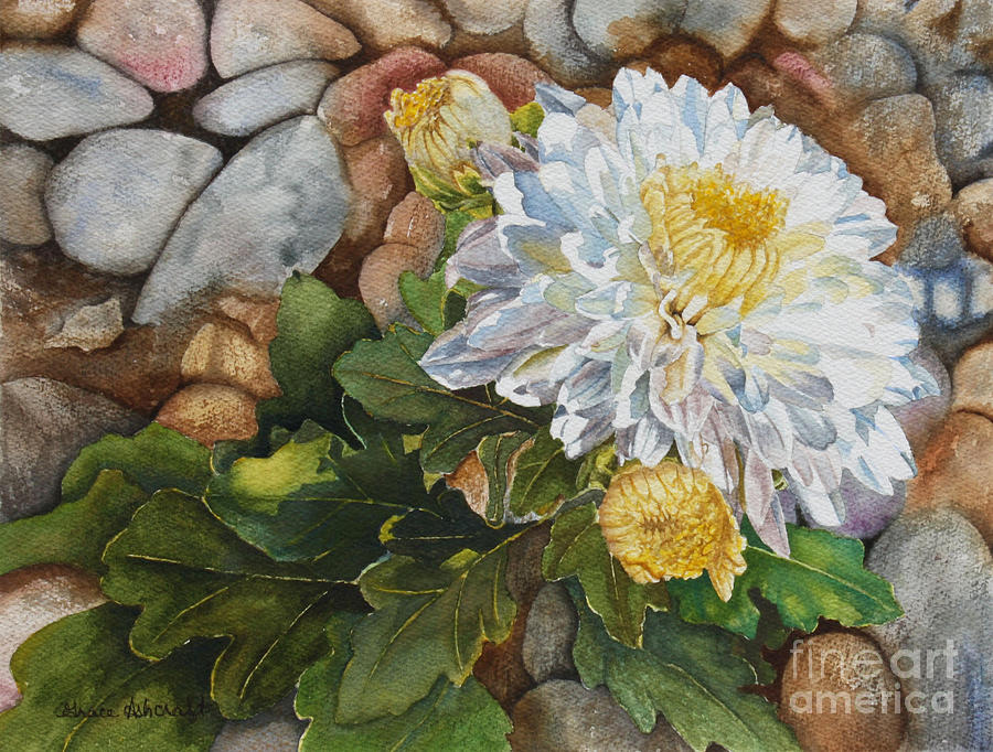 900x682 Chrysanthemums Painting By Grace Ashcraft - Chrysanthemum Painting