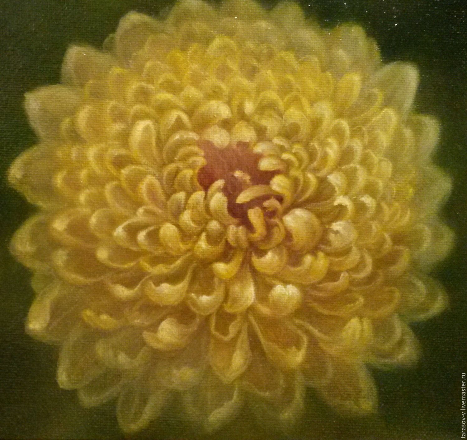 Chrysanthemum Painting at PaintingValley.com | Explore collection of ...